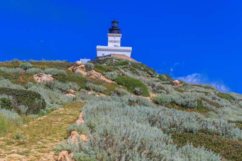 Disfrutando de la excursión a las islas Sanguinarias