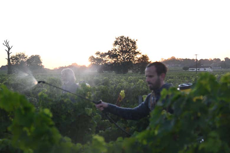 Descubriréis la agricultura ecológica de Clos Systey