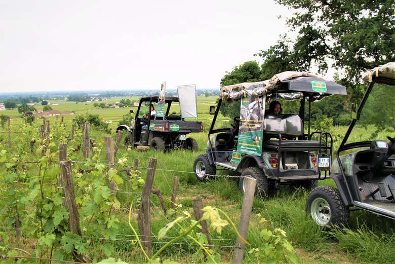 Traversez les vignes de Saint-Émilion