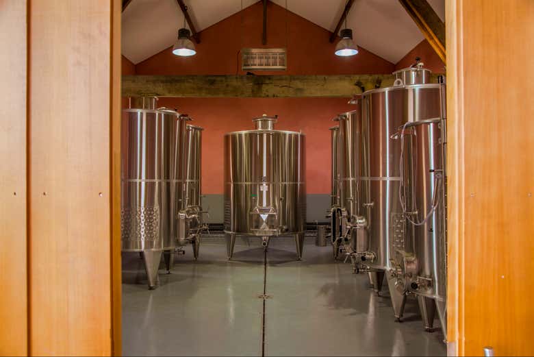 Cubas de vino de la bodega