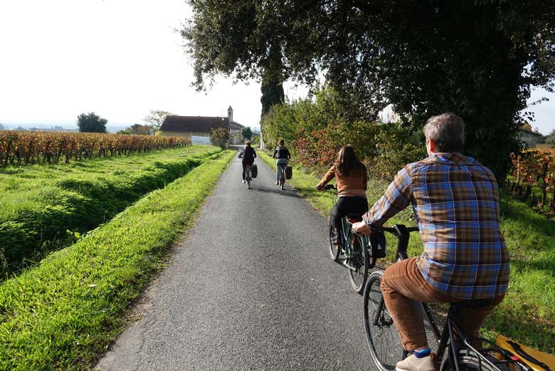 Cycle past centuries-old vineyards