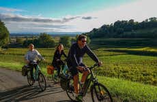 Tour en bicicleta eléctrica por los viñedos de Saint Emilion + Cata de vinos
