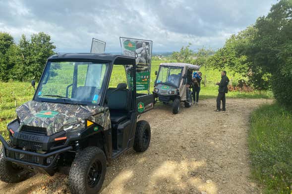 Balade en buggy dans les vignobles du Château Coutet + Visite du domaine viticole