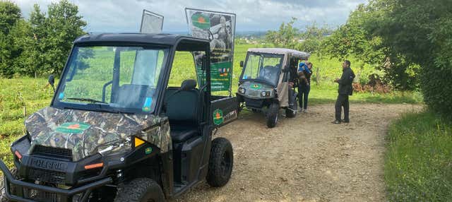 Tour dei vigneti di Château Coutet in buggy + Visita della cantina