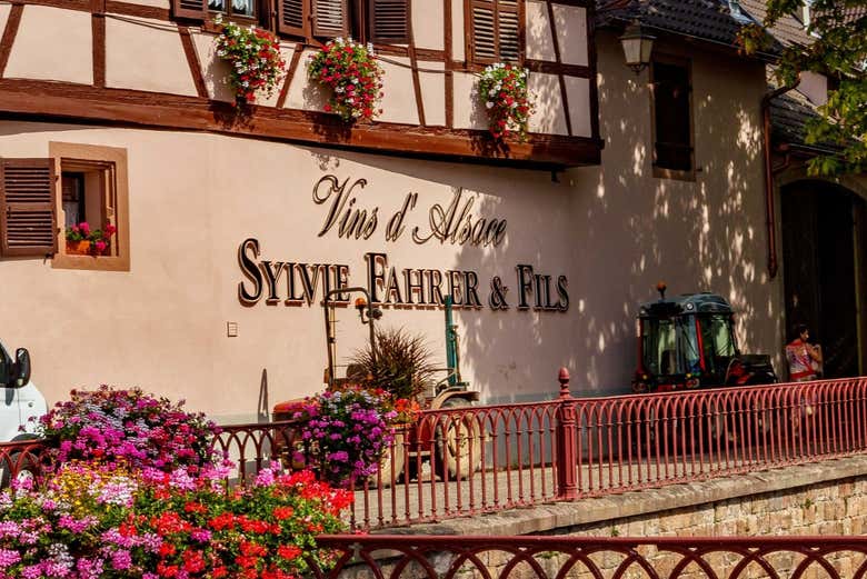 Immerse yourself in wine culture