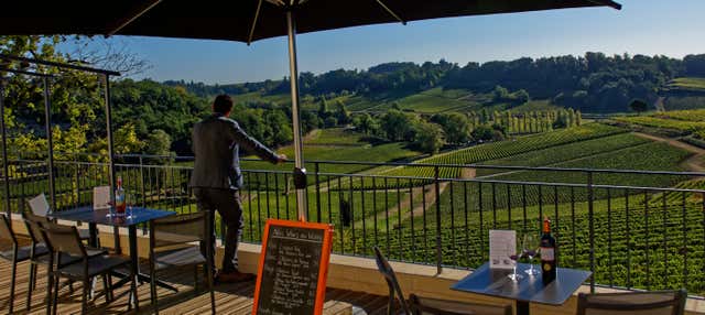 Visita a las bodegas de Saint-Émilion