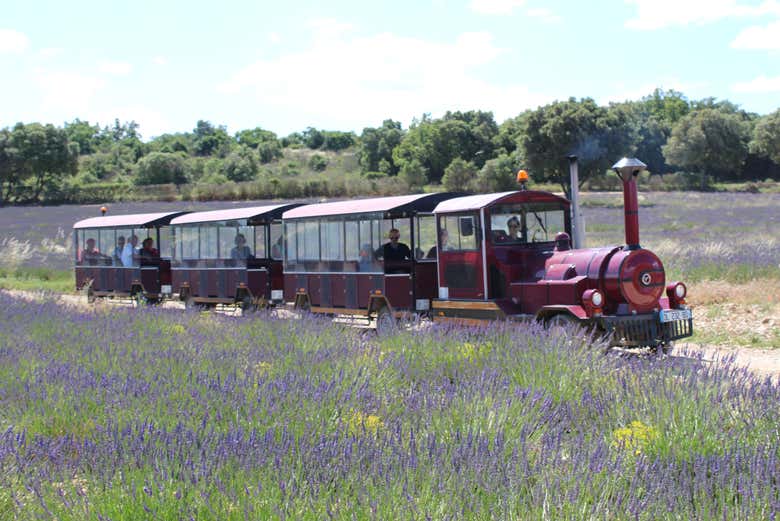 Desfrutando do passeio de trem turístico