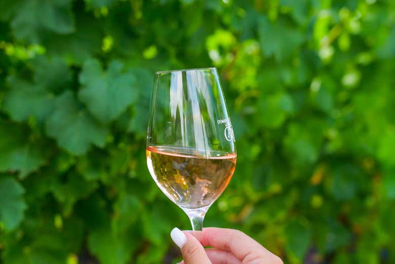 Taste some delicious rosé