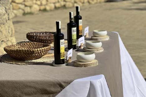 Todo listo para la cata de aceites de oliva