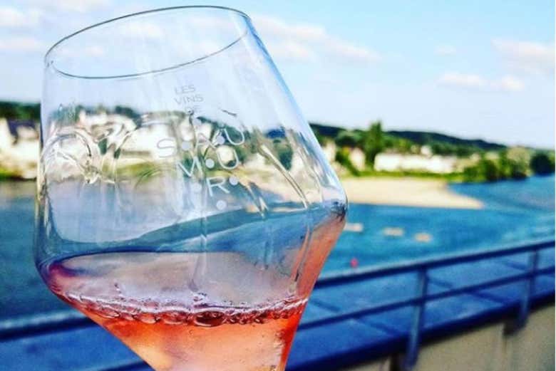 Aprendiendo a degustar el vino