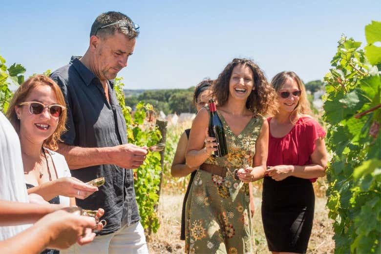 Disfrutando de la experiencia vitivinícola