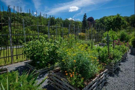 Plantaciones en los jardines de Puygirault