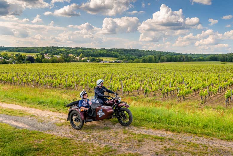Recorriendo el valle del Loira en moto con sidecar
