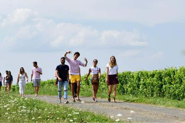 Visita a un viñedo de Saumur