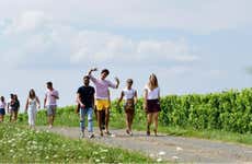Visita a um vinhedo de Saumur