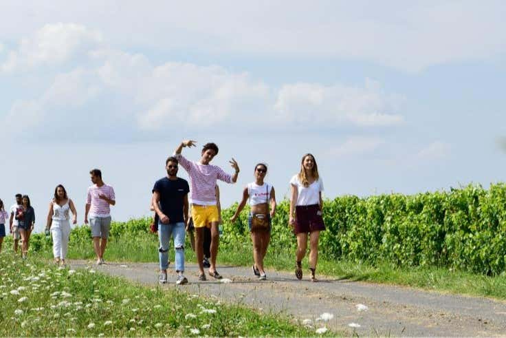 Visite d'un vignoble à Saumur