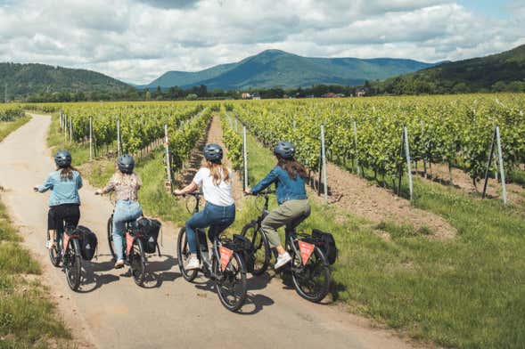 Alsace Wine Route Bike Tour