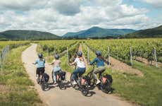 Tour della Strada dei Vini d'Alsazia in bici