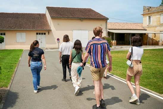 Learn about the production of French wines