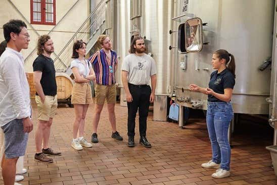 Find out local wine-making secrets