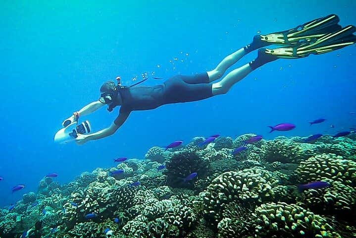 Diving in a submarine paradise