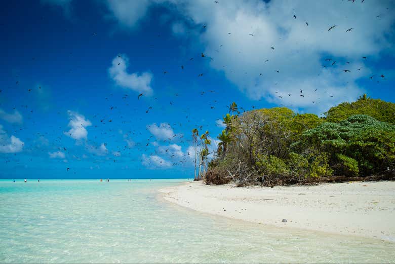 A praia de Tetiaroa