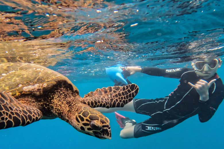 Explorando los fondos marinos de Tahití