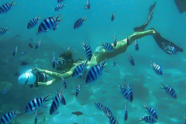 Swimming with tropical fish