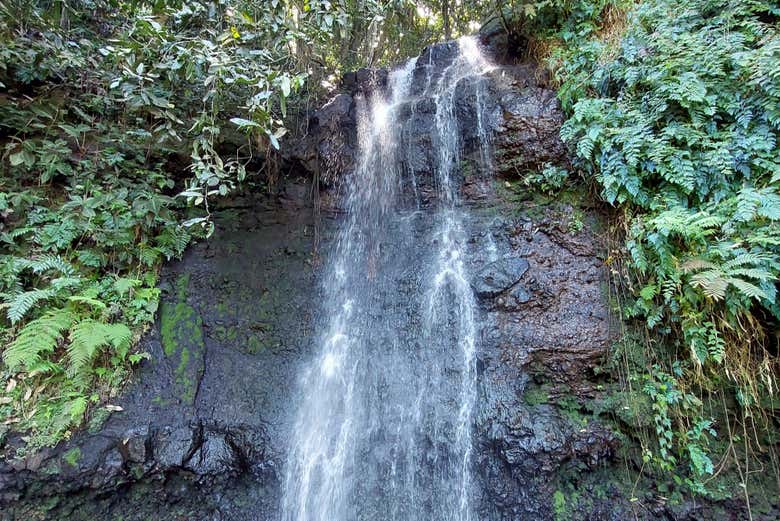 Immerse yourself in nature for the day