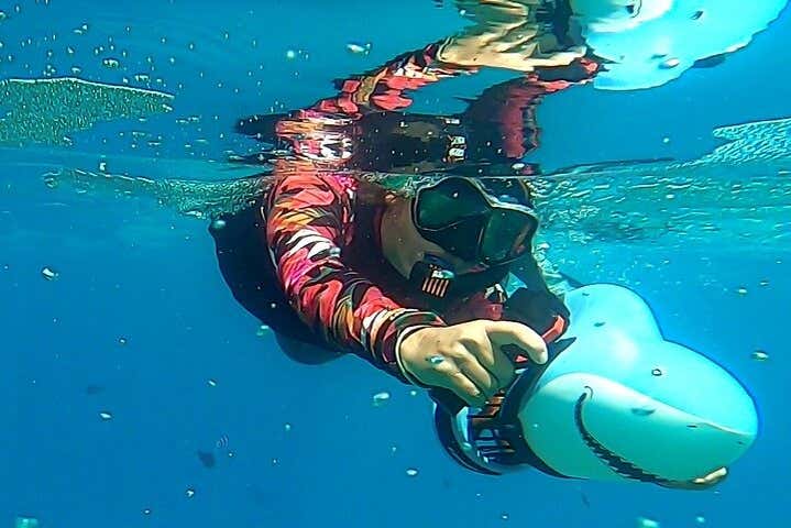 Exploring the sea bed