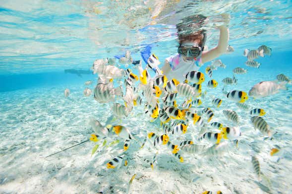 Power snorkel en Tahití