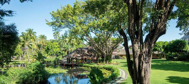 Papeete Guided Walking Tour