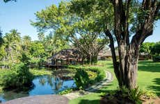 Visita guidata di Papeete