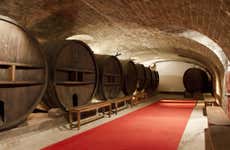 Visita a la bodega del Château de Saint Martin