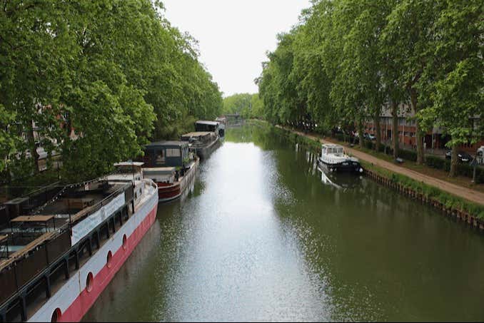 Admirad la exuberante vegetación de los canales de Toulouse