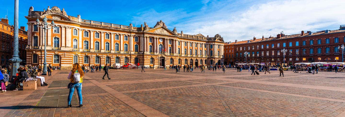 Guided tours and free tours in Toulouse