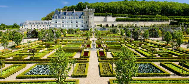 Chateau Villandry Tour + Vouvray Wine Tasting