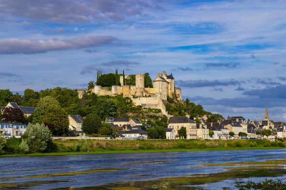 Excursión a Chinon + Visita a dos bodegas del Loira