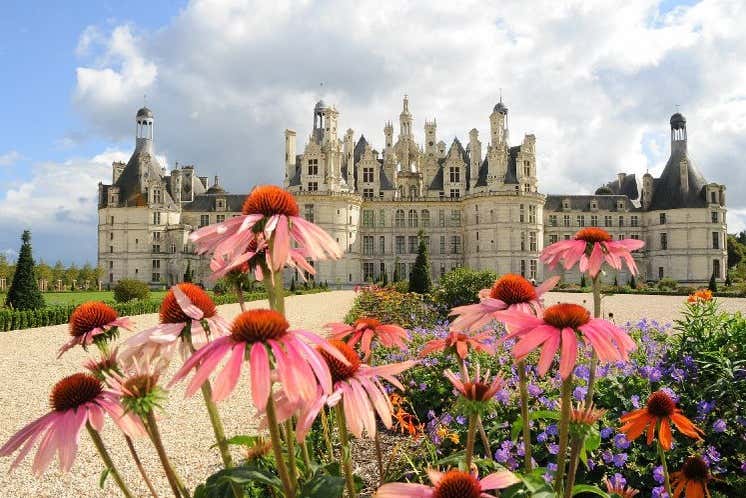 Flores junto al castillo de Chenonceau