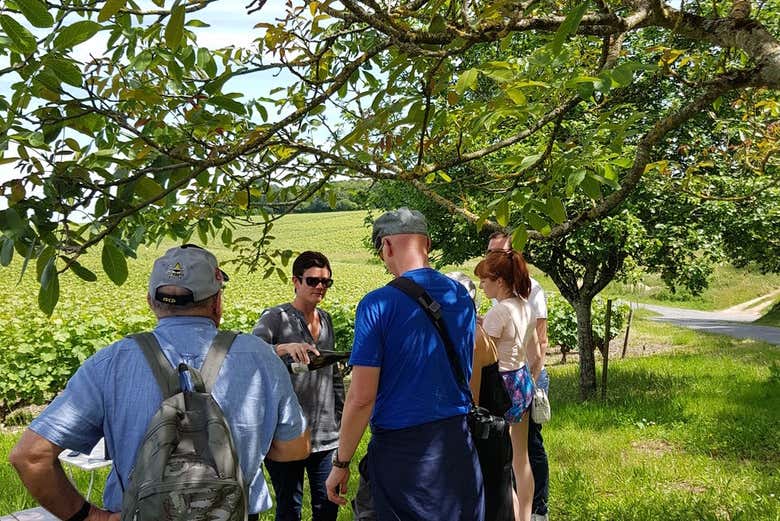 Recorriendo los viñedos de Vouvray