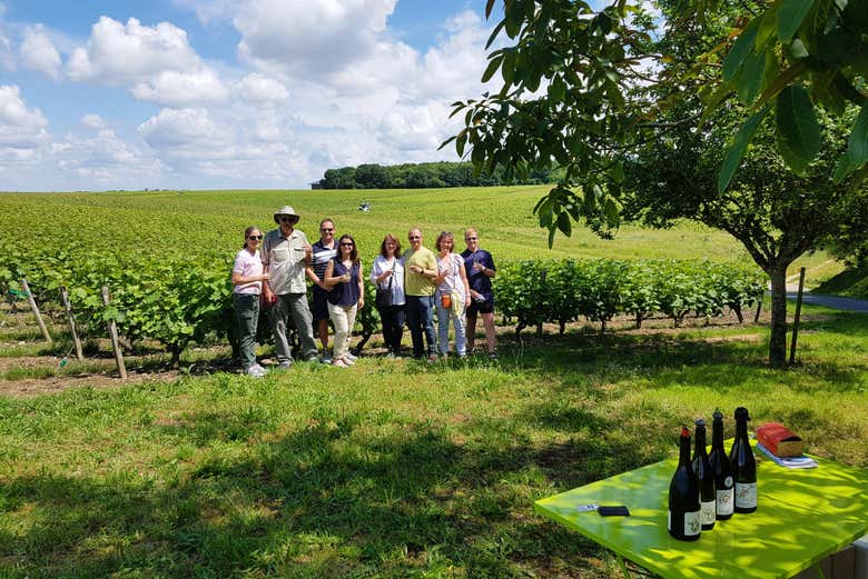 Discover the vineyards