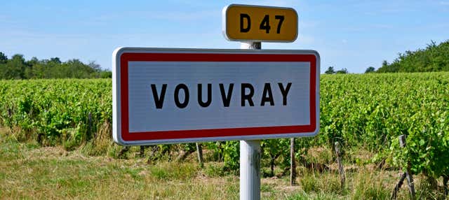 Tour de viñedos y bodegas por Vouvray