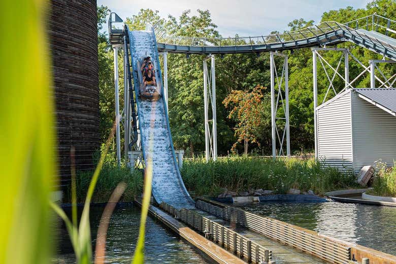 Water rides at the park