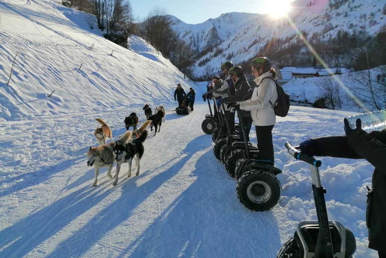 Meet some furry friends