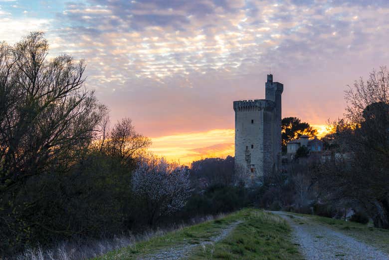Tour Philippe-le-Bel