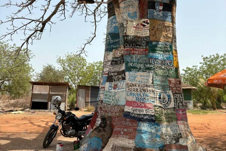 Messages écrits sur un arbre à Lamin Lodge