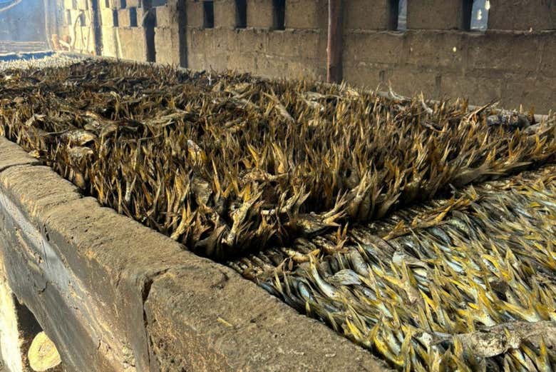 Poissons séchés à Tanji