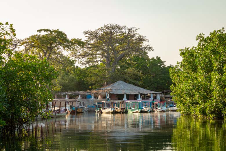 Llegando a Lamin Lodge