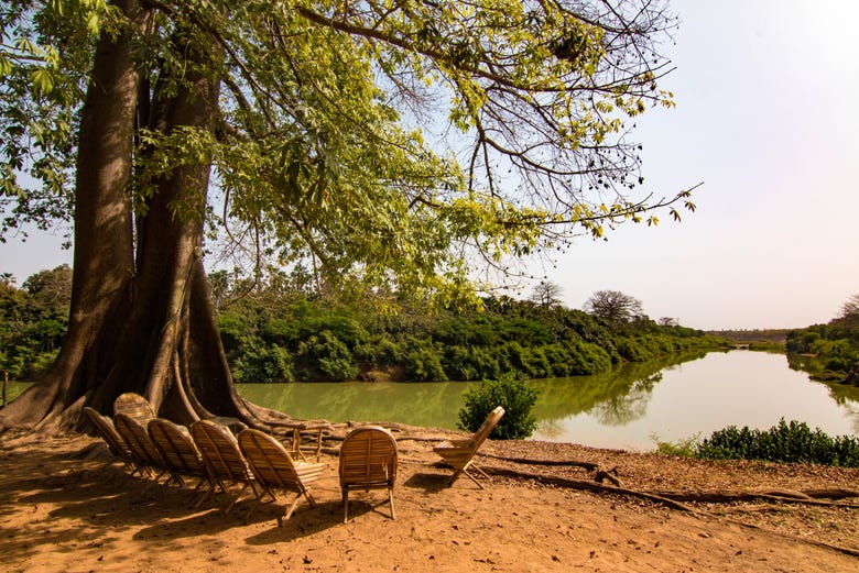 Lit du fleuve Gambie