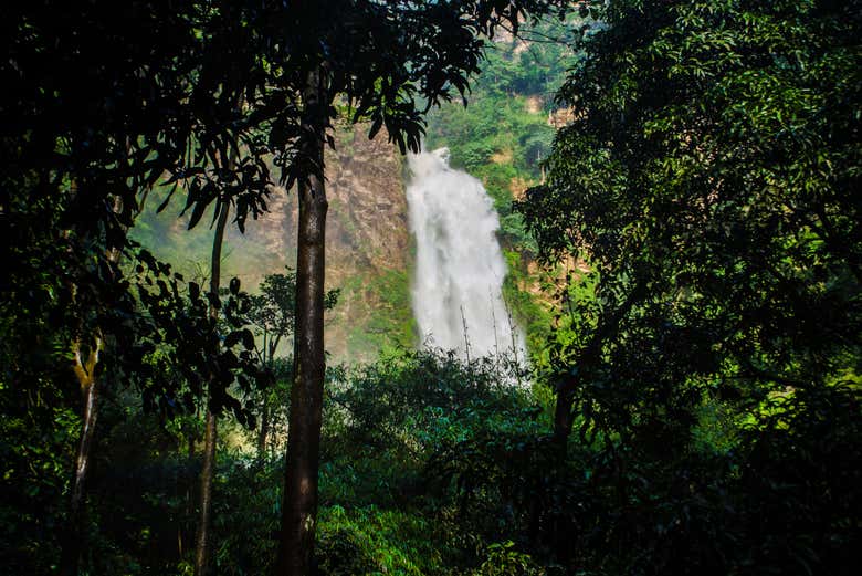 Cascades Wli